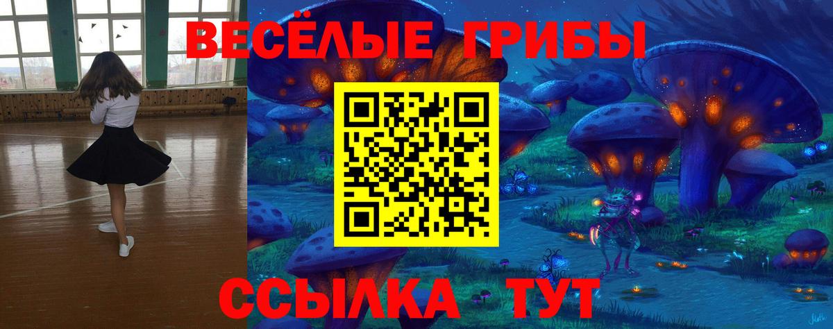 где продают   Вход с VPN  Губкин  Галлюциногенные грибы Cubensis 